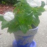 flower pot craft
