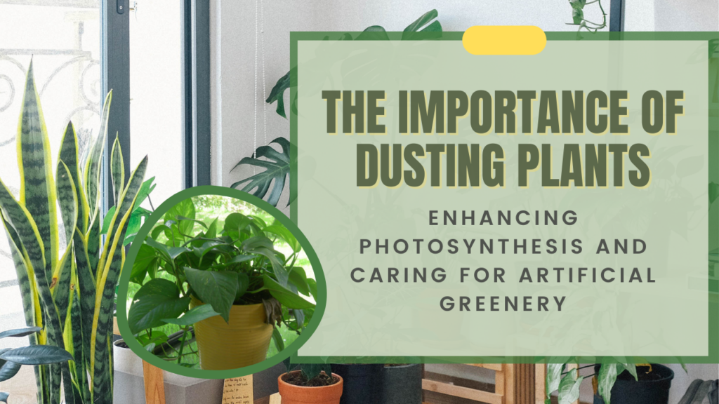 The Importance of Dusting Plants: Enhancing Photosynthesis and Caring for Artificial Greenery
